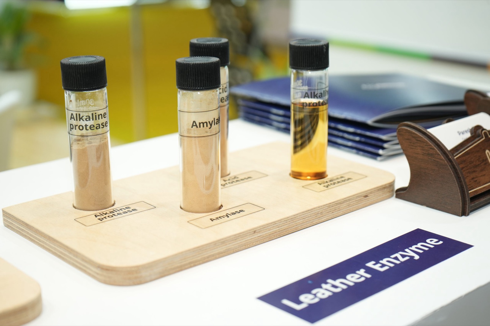 Leather enzyme samples